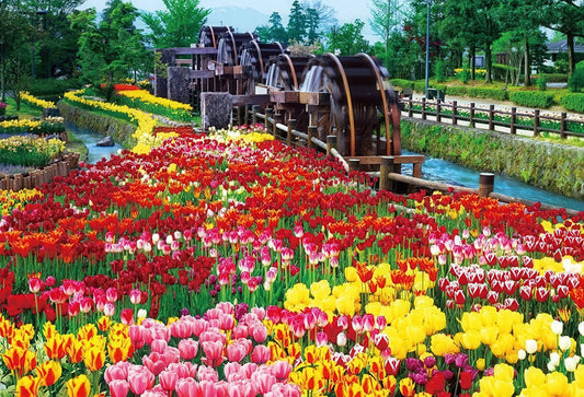 Beverly M71-833　Flower • Five Waterwheels in Tulip Park　1000 Pieces Jigsaw Puzzle