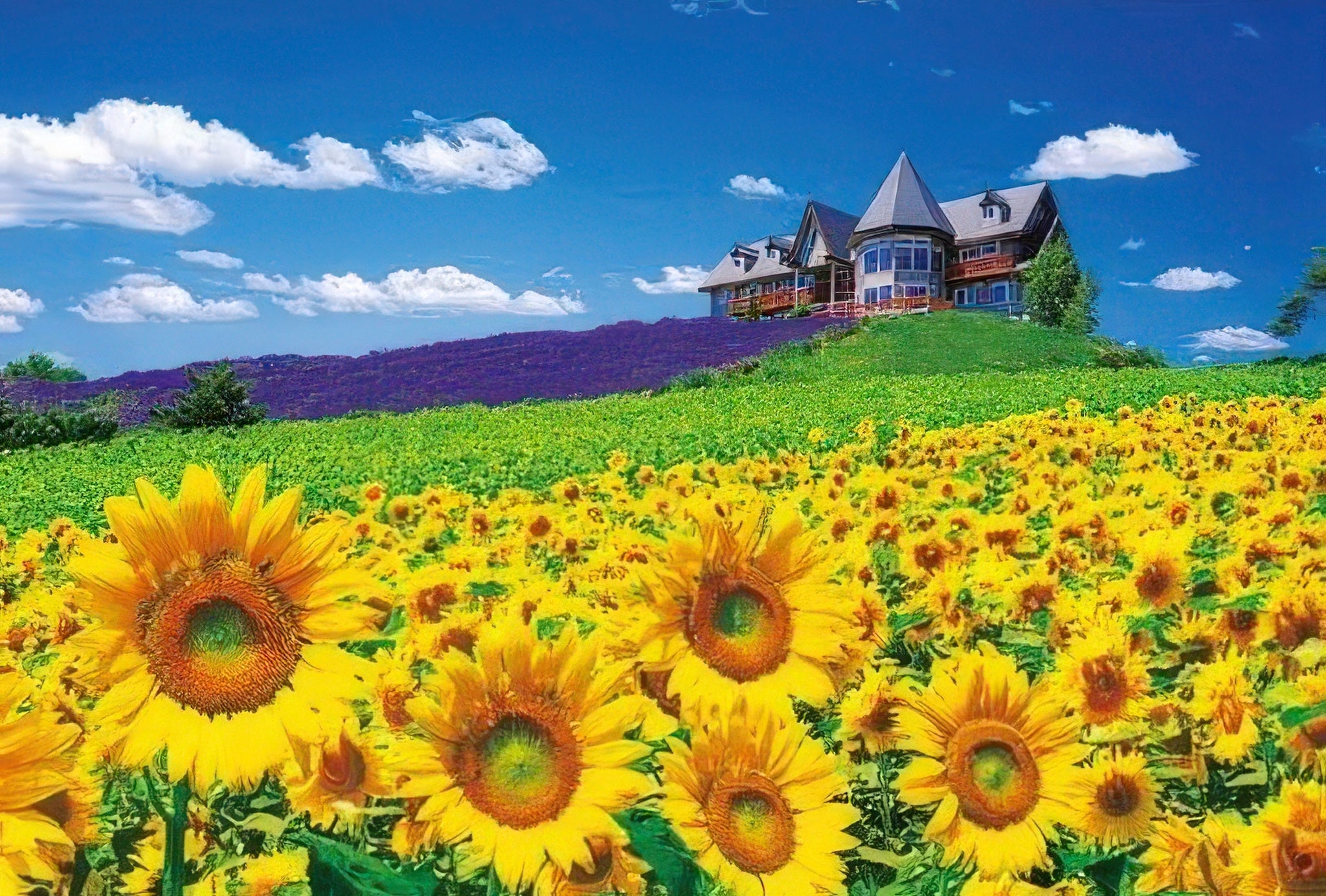 beverly-m71-840-amalfi-dyed-in-the-sunset-1000-pieces-jigsaw-puzzle