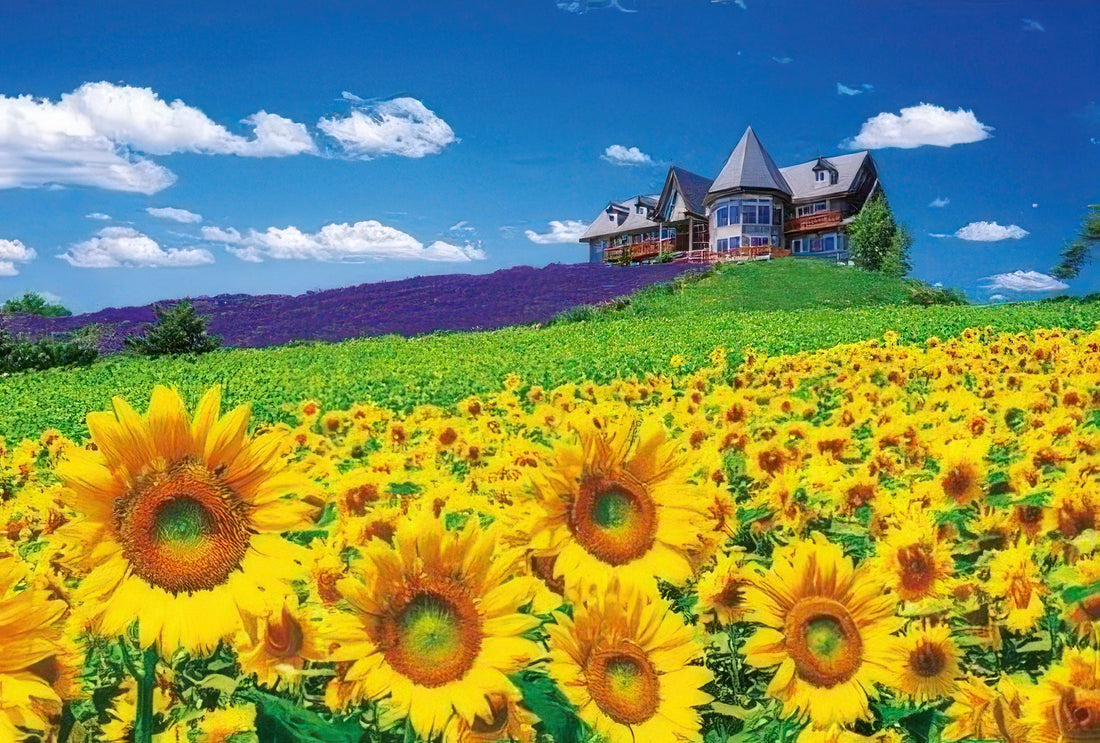 beverly-m71-840-amalfi-dyed-in-the-sunset-1000-pieces-jigsaw-puzzle