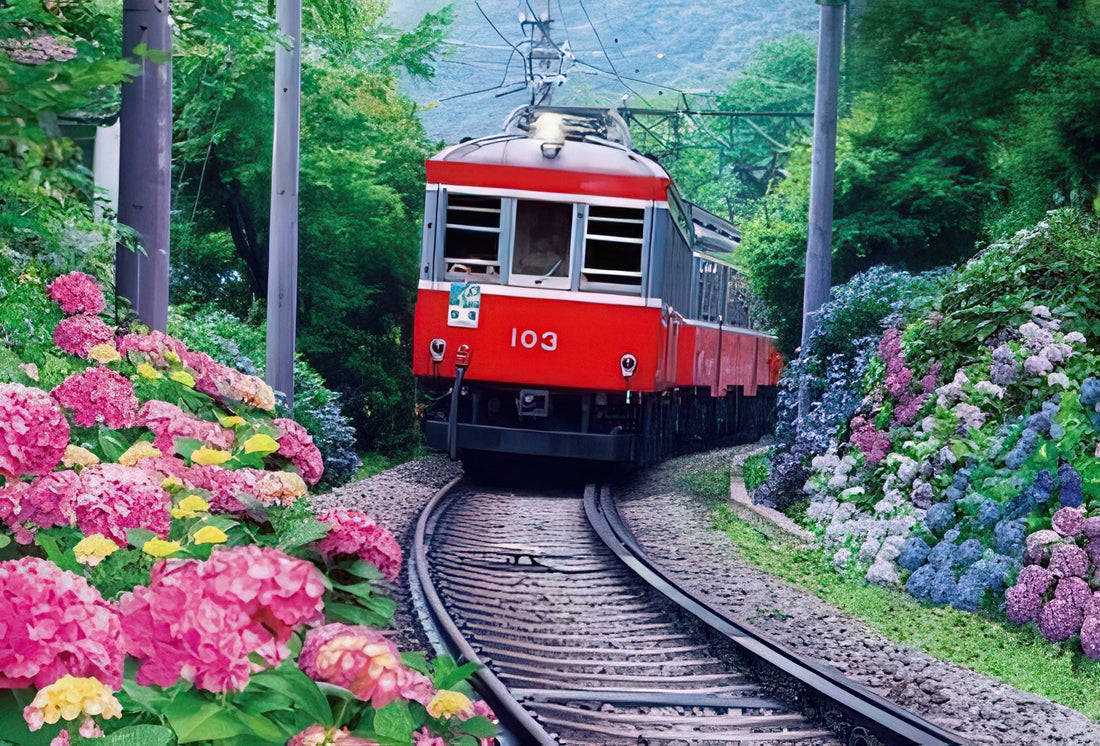 beverly-m71-860-train-hakone-tozan-railway-and-hydrangeas-1000-pieces-jigsaw-puzzle