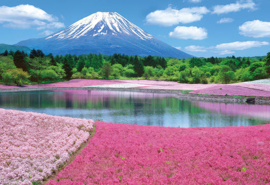 Beverly M71-863　Flower • Phlox-coloured Mount Fuji　1000 Pieces Jigsaw Puzzle