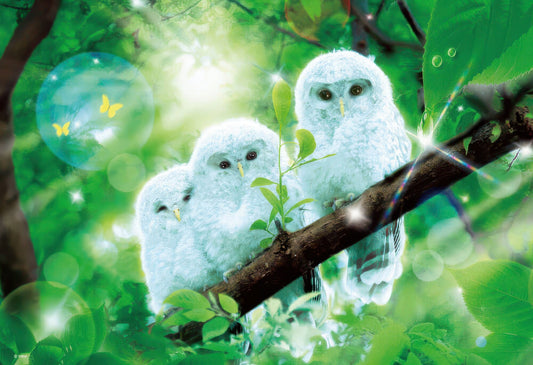 Beverly M81-534　Animal • White Owl of Happiness　1000 Pieces Jigsaw Puzzle