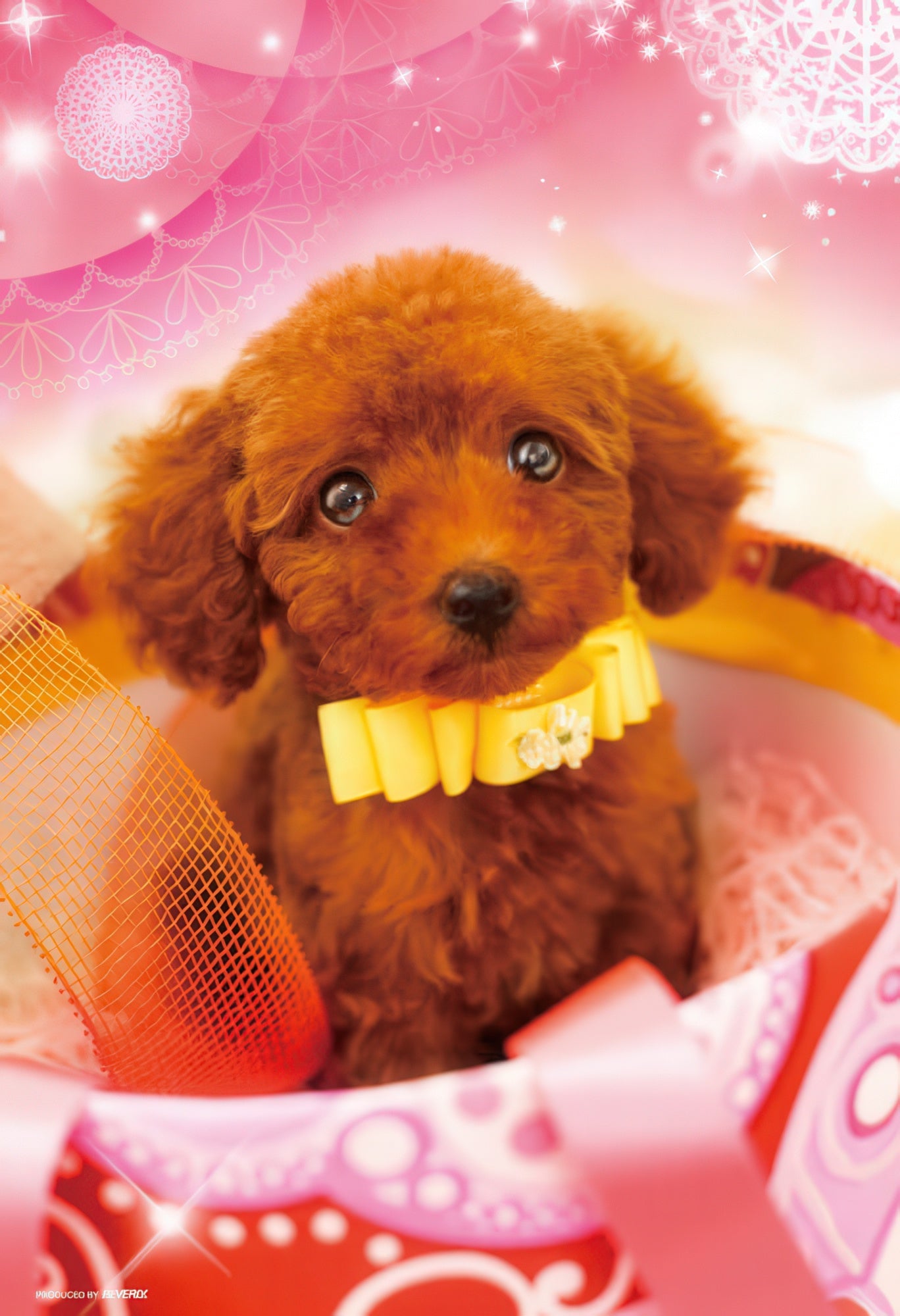 beverly-p33-084-animal-fashionable-poodle-300-pieces-jigsaw-puzzle