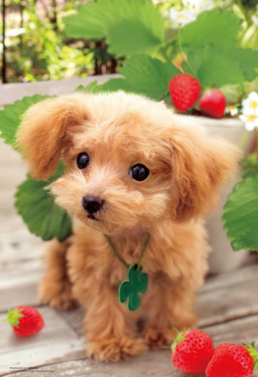 Beverly P33-119　Animal • Do You Eat Strawberries?　300 Pieces Jigsaw Puzzle