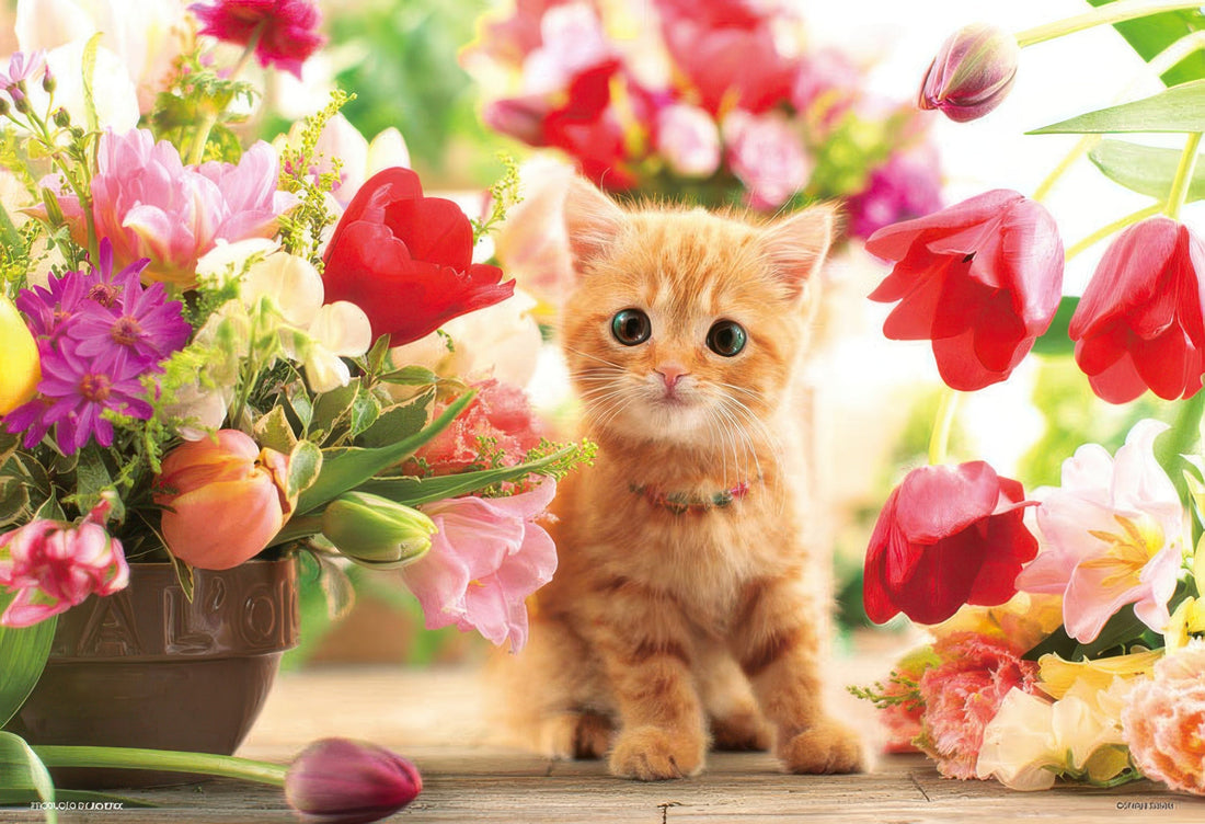 beverly-p33-190-animal-tulips-and-kitten-300-pieces-jigsaw-puzzle