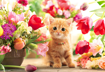 Beverly • Animal • Tulips and Kitten　300 PCS　Jigsaw Puzzle