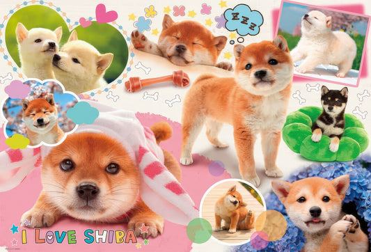 Beverly P61-424　Animal • I Love Shiba　1000 Pieces Jigsaw Puzzle