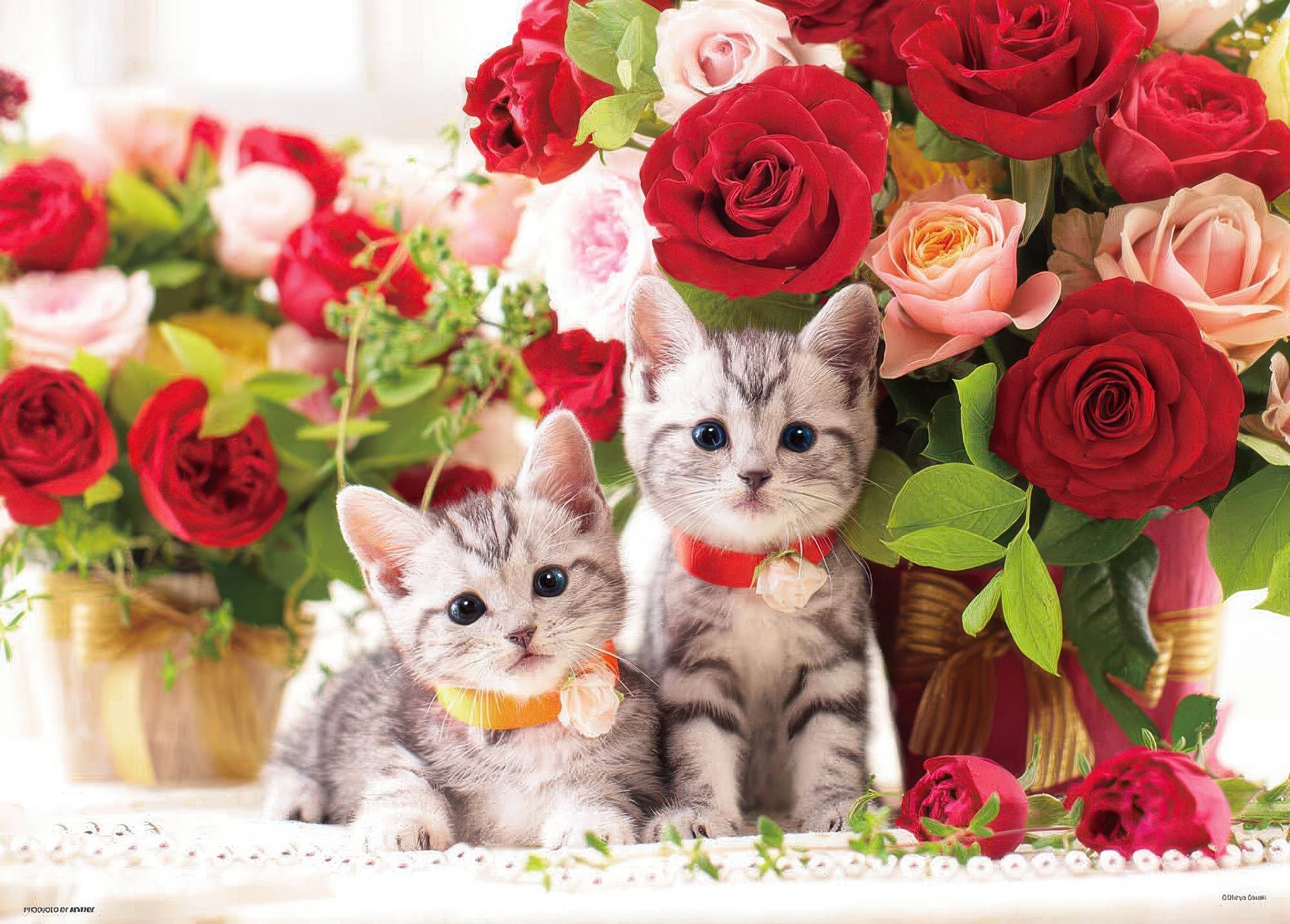 beverly-p66-115-animal-kittens-and-roses-600-pieces-jigsaw-puzzle