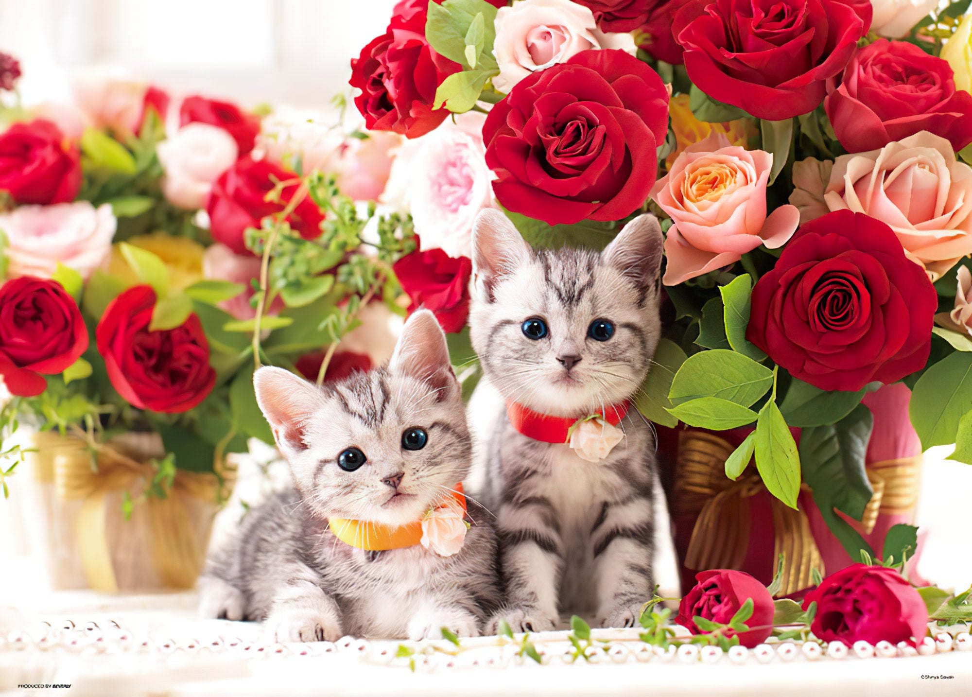 Beverly • Animal • Kittens and Roses　600 PCS　Jigsaw Puzzle