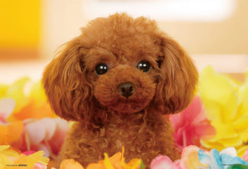 beverly-p73-413-animal-love-poodle-300-pieces-jigsaw-puzzle