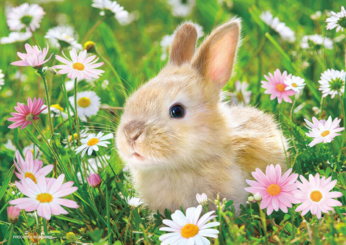 beverly-p88-009-animal-sunny-rabbit-88-pieces-jigsaw-puzzle