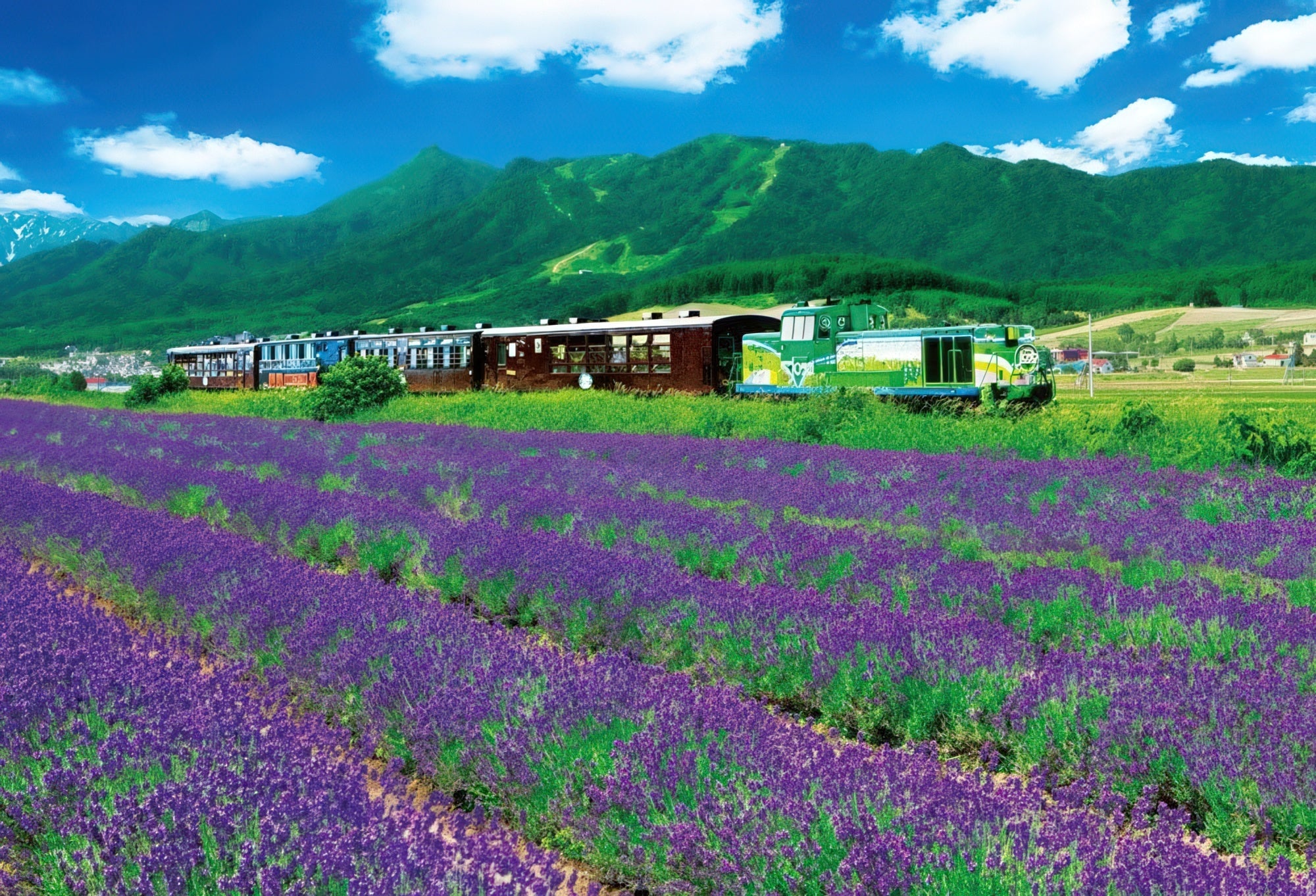 beverly-s72-523-scenery-furano-lavender-field-2000-pieces-jigsaw-puzzle