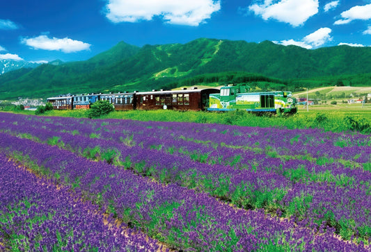 Beverly S72-523　Scenery • Furano Lavender Field　2000 Pieces Jigsaw Puzzle