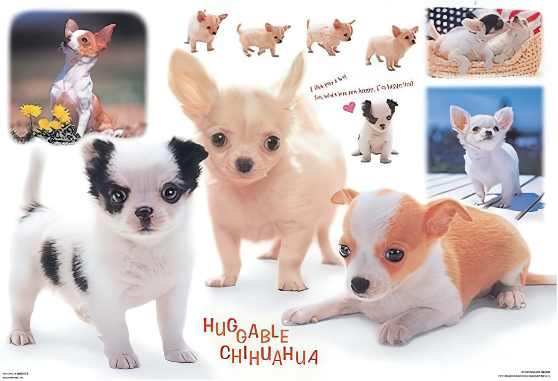 beverly-x002-animal-i-love-chihuahua-1000-pieces-jigsaw-puzzle