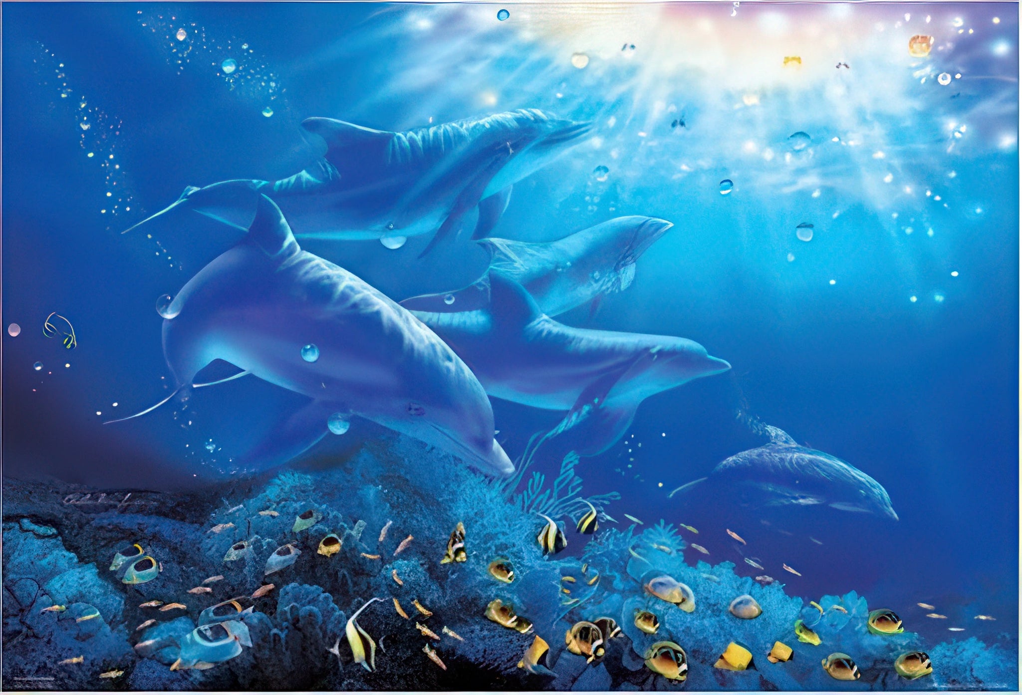 beverly-x003-animal-jewel-of-the-sea-1000-pieces-jigsaw-puzzle