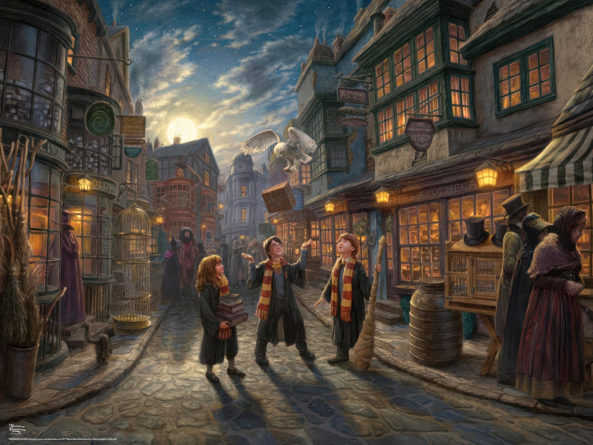 ceaco-3404-15-harry-potter-diagon-alley-1500-pieces-jigsaw-puzzle