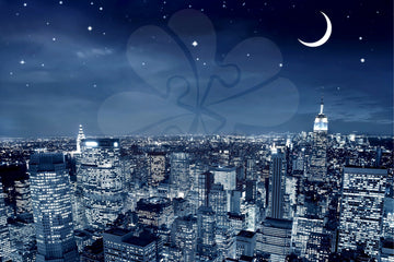 clover-n10-002-city-at-night-1000-pieces-jigsaw-puzzle