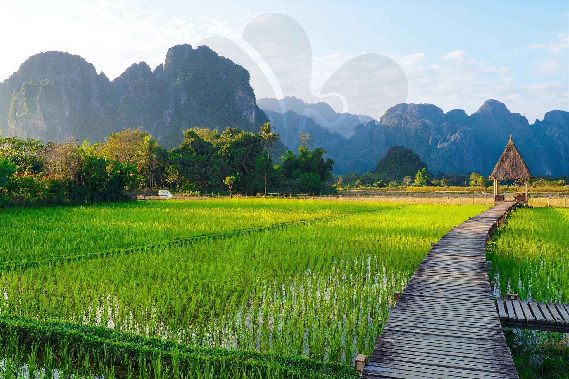 clover-s10-001-scenery-rice-field-in-laos-1000-pieces-jigsaw-puzzle