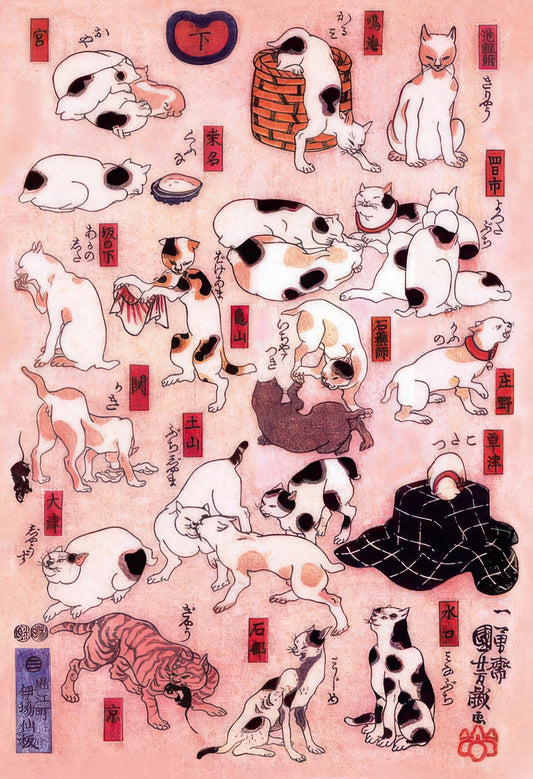 Cuties 300-077　Fine Art • 53 Cats (Below)　300 Pieces Jigsaw Puzzle