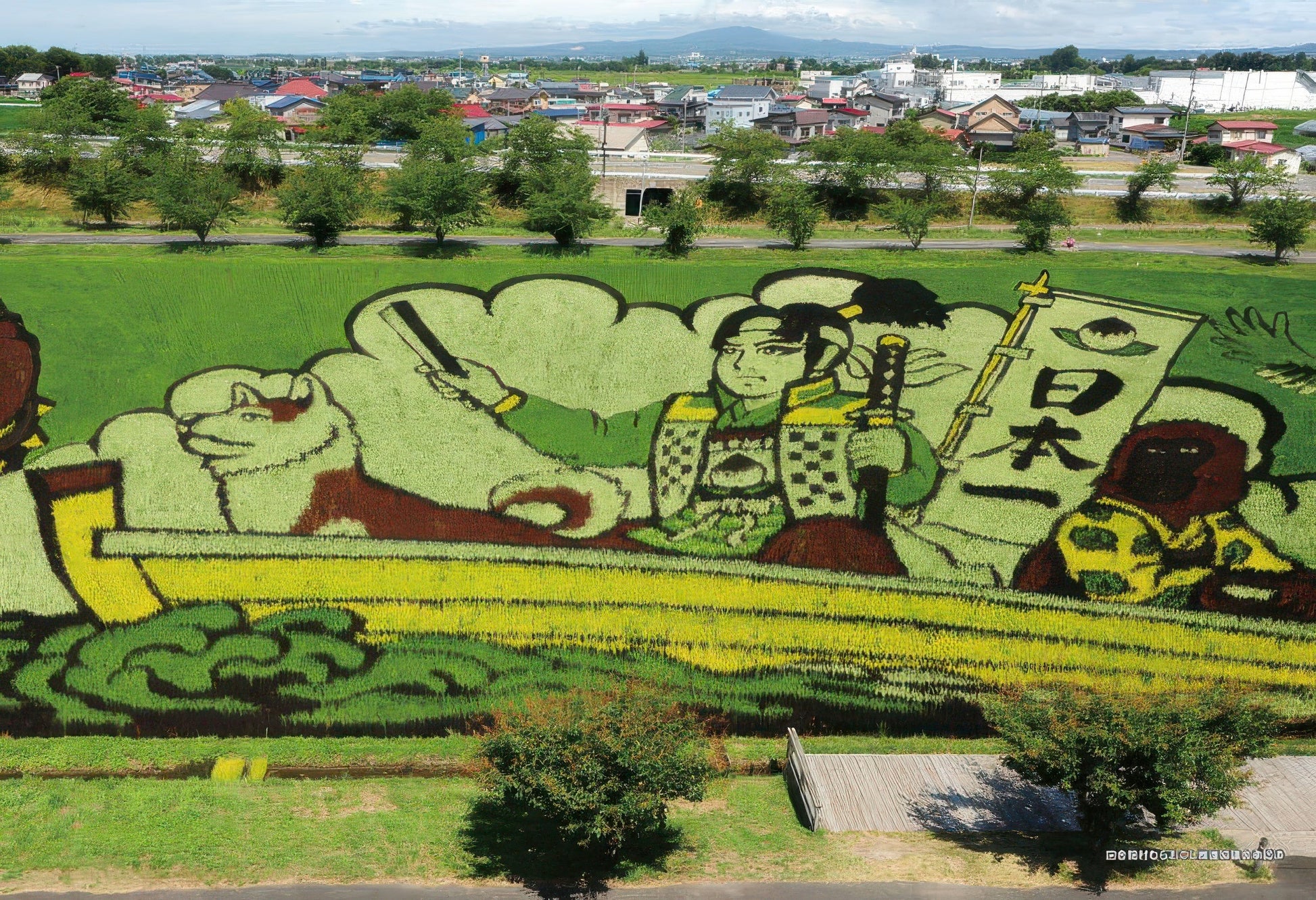 cuties-300-158-scenery-momotaro-rice-field-art-2017-focus-300-pieces-jigsaw-puzzle