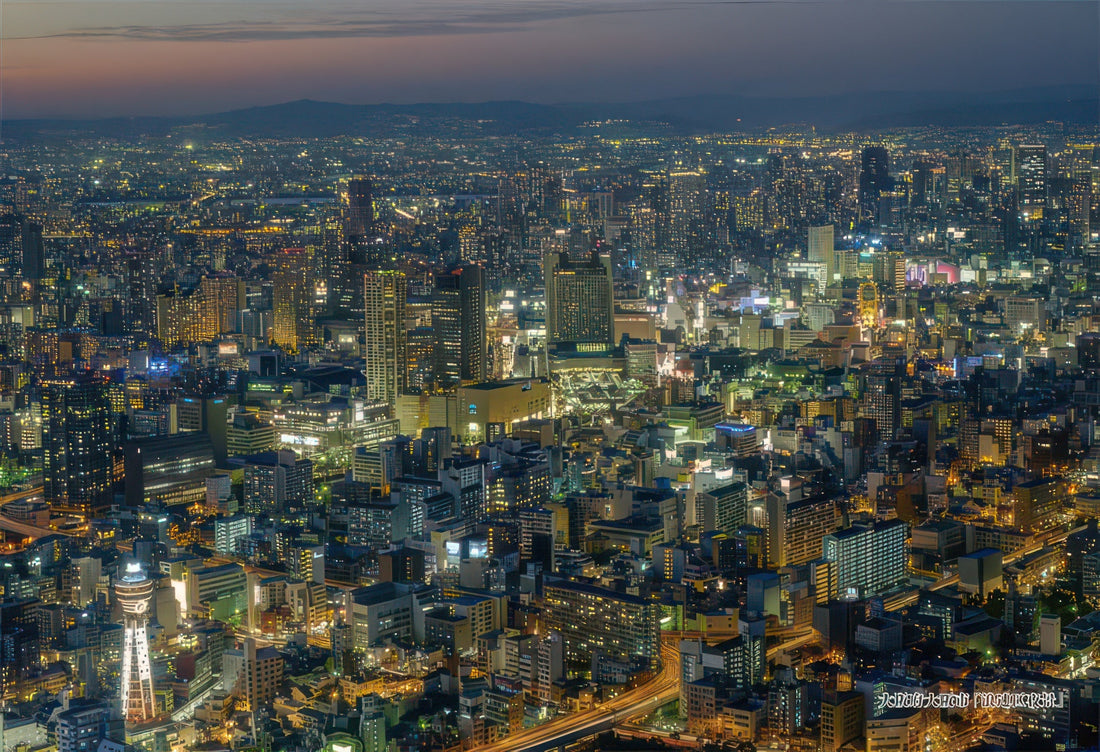 cuties-300-325-scenery-night-view-of-naniwa-ward-osaka-300-pieces-jigsaw-puzzle