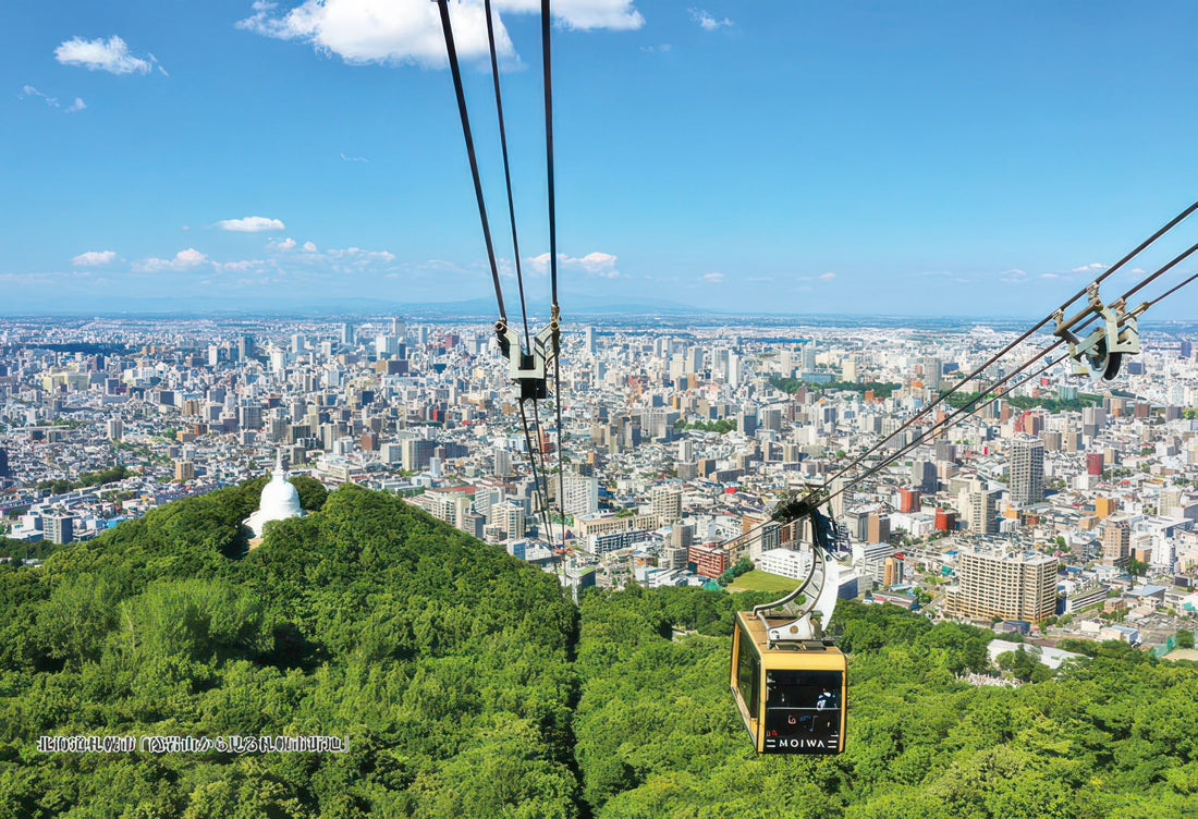 cuties-300-396-scenery-view-of-sapporo-city-from-mt-moiwa-hokkaido-300-pieces-jigsaw-puzzle