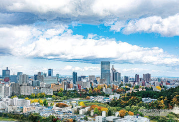 cuties-300-411-autumn-panorama-of-sendai-city,-sendai,-miyagi-prefecture-300-pieces-jigsaw-puzzle