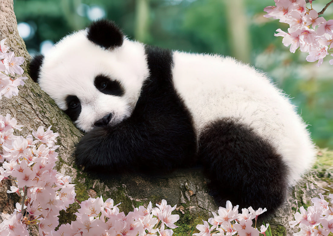 epoch-01-061-animal-sleeping-panda-108-pieces-jigsaw-puzzle