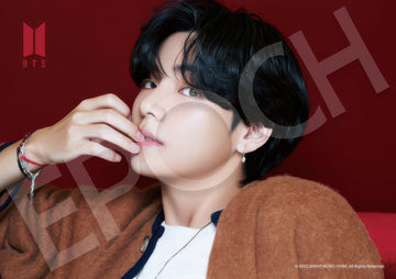 epoch-04-106-be--v--216-pieces-jigsaw-puzzle