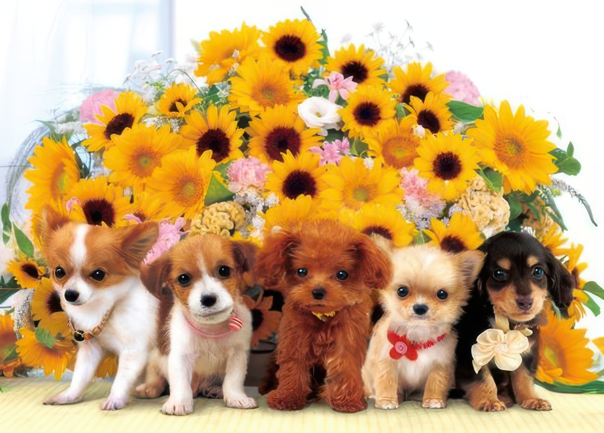 epoch-05-083-animal-floral-puppies-500-pieces-jigsaw-puzzle