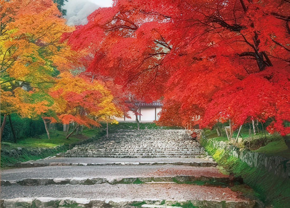 epoch-05-088-scenery-autumn-at-nison-in-kyoto-500-pieces-jigsaw-puzzle