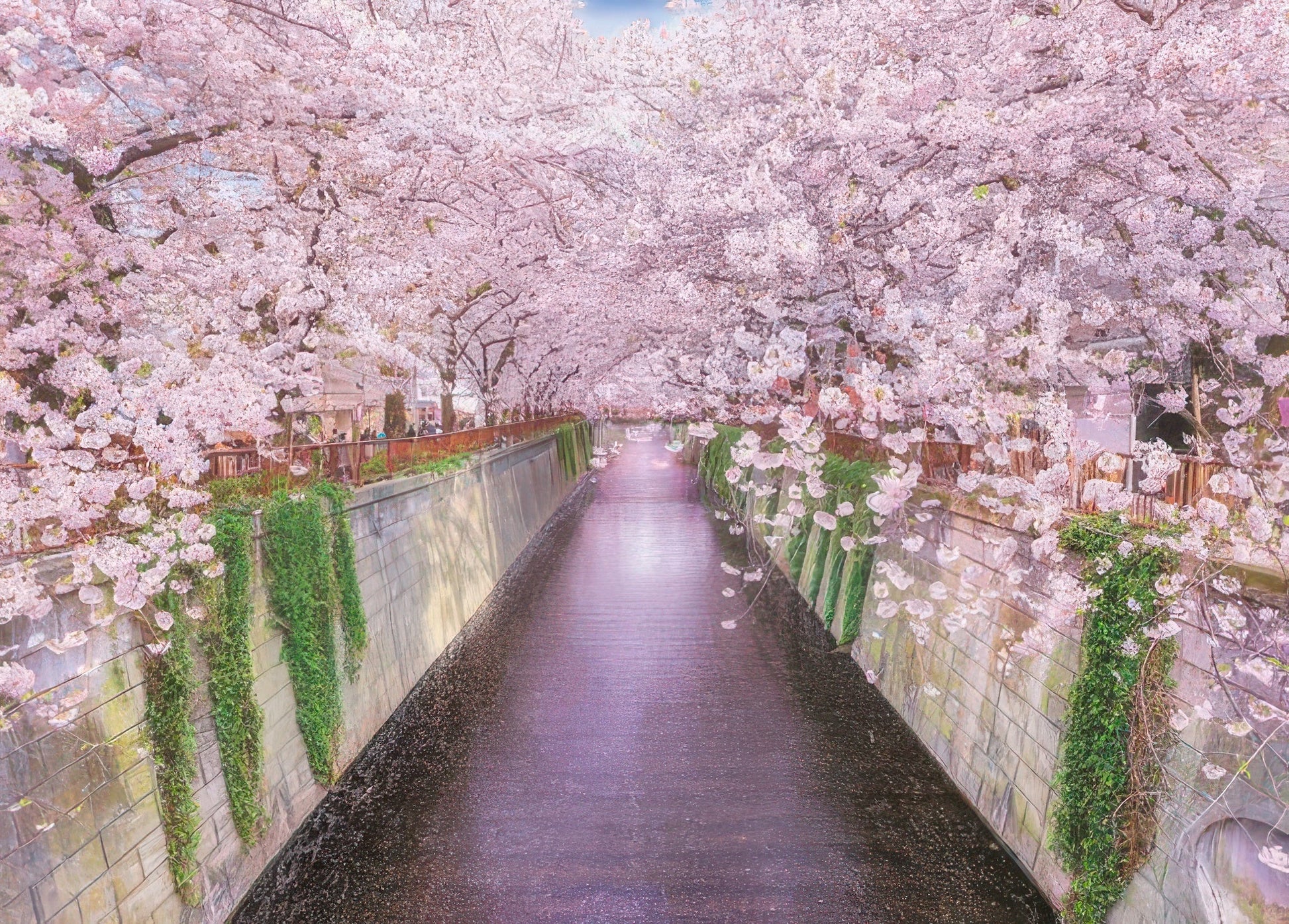 epoch-05-111-scenery-meguro-river-in-spring-tokyo-500-pieces-jigsaw-puzzle