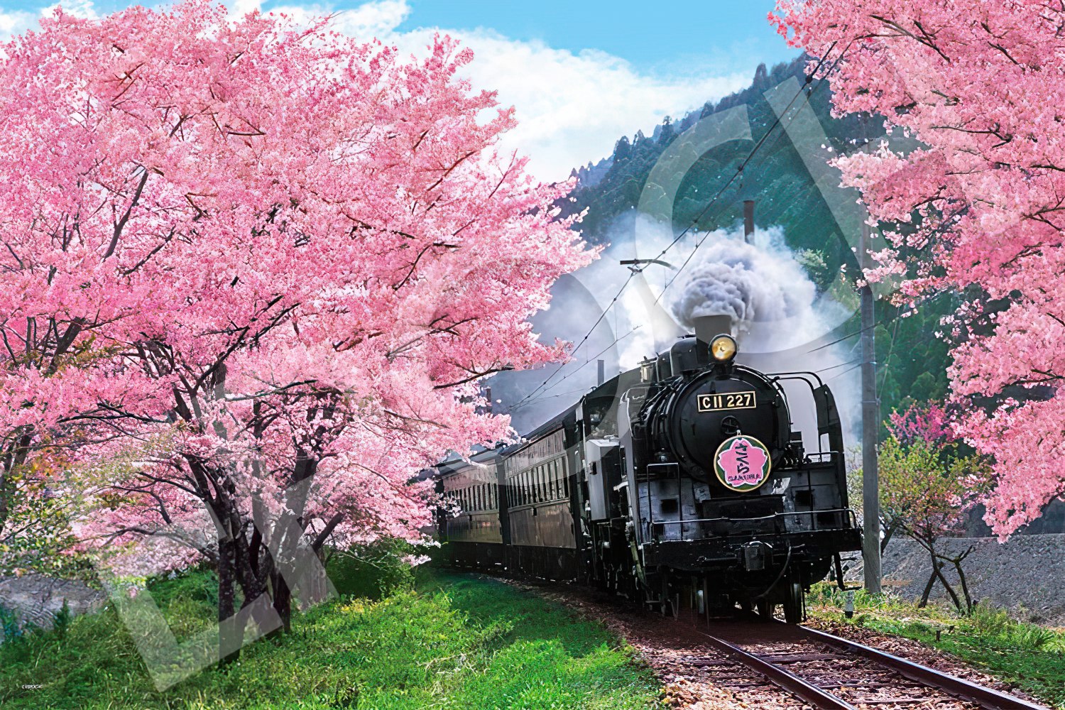 Epoch • Train • Cherry Blossoms at Oigawa Railway, Shizuoka　1000 PCS　Jigsaw Puzzle
