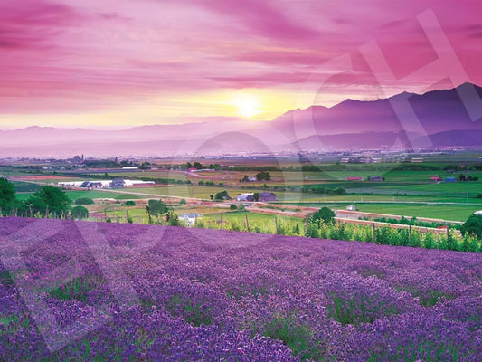 Epoch â€¢ Scenery â€¢ Lavender-colored Furano, Hokkaidoã€€1000 PCSã€€Jigsaw Puzzle