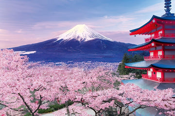 Epoch • Scenery • Sakura Fuji from the Chureito Pagoda, Yamanashi　1000 PCS　Jigsaw Puzzle