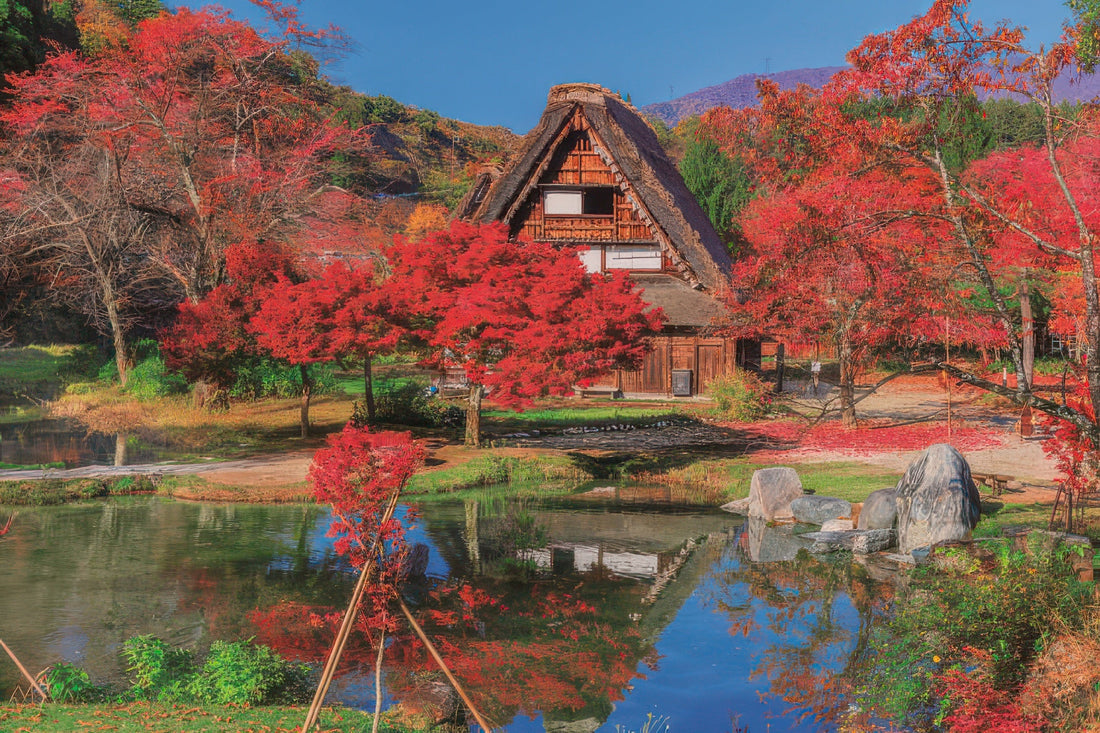 epoch-10-812-scenery-shirakawa-go-in-autumn-gifu-1000-pieces-jigsaw-puzzle