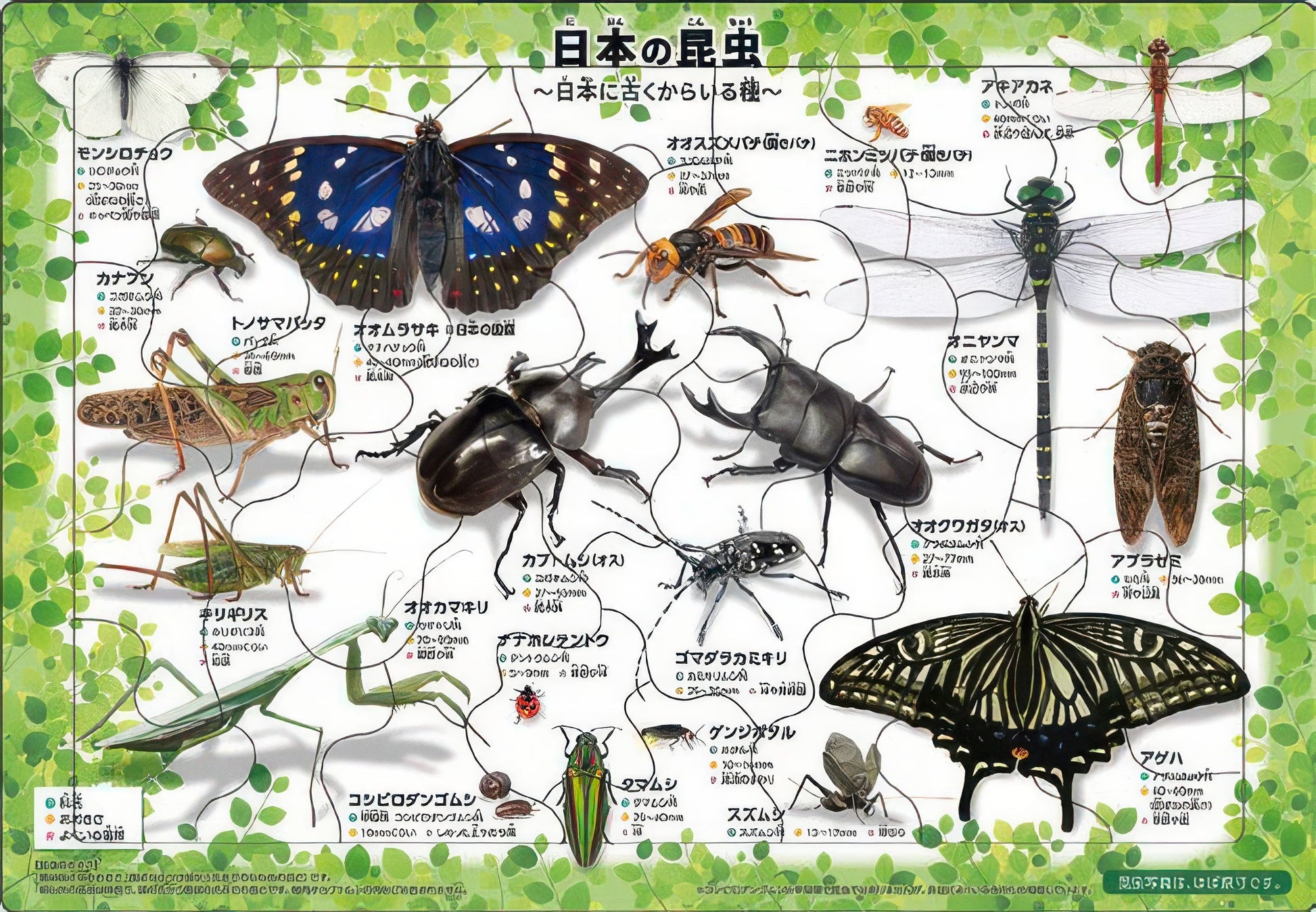 epoch-25-008-animal-japanese-insects-35-pieces-kids-puzzle