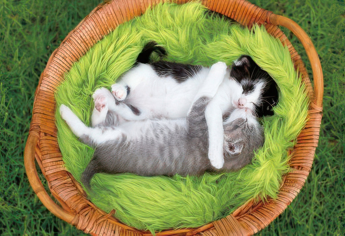 epoch-26-355-goodnight,-meow-300-pieces-jigsaw-puzzle