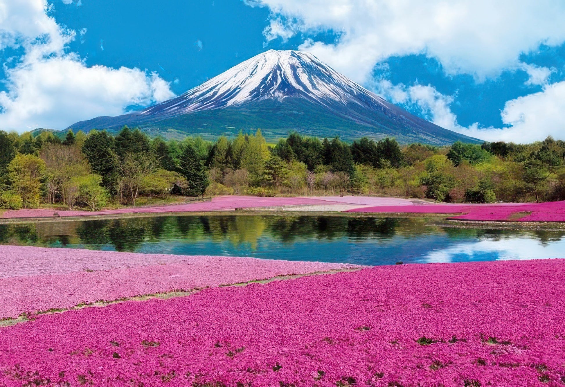 epoch-31-002-scenery-shiba-sakura-and-mount-fuji-yamanashi-1053-pieces-jigsaw-puzzle