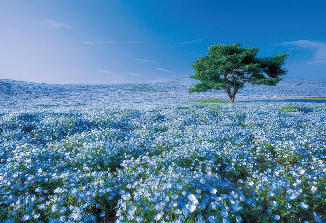 epoch-31-003-scenery-hill-of-nemophila-ibaraki-1053-pieces-jigsaw-puzzle