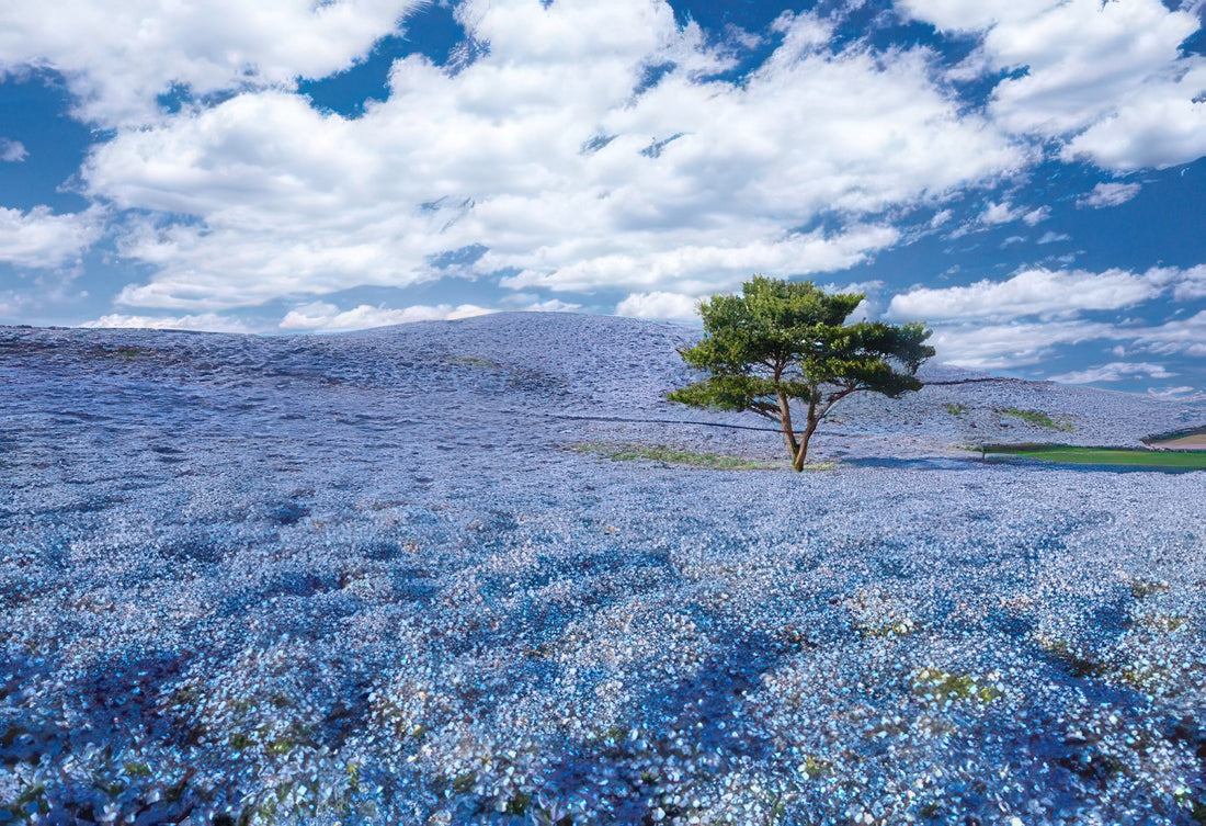 epoch-48-635-scenery-nemophila-blooming-hill-ibaraki-300-pieces-jigsaw-puzzle