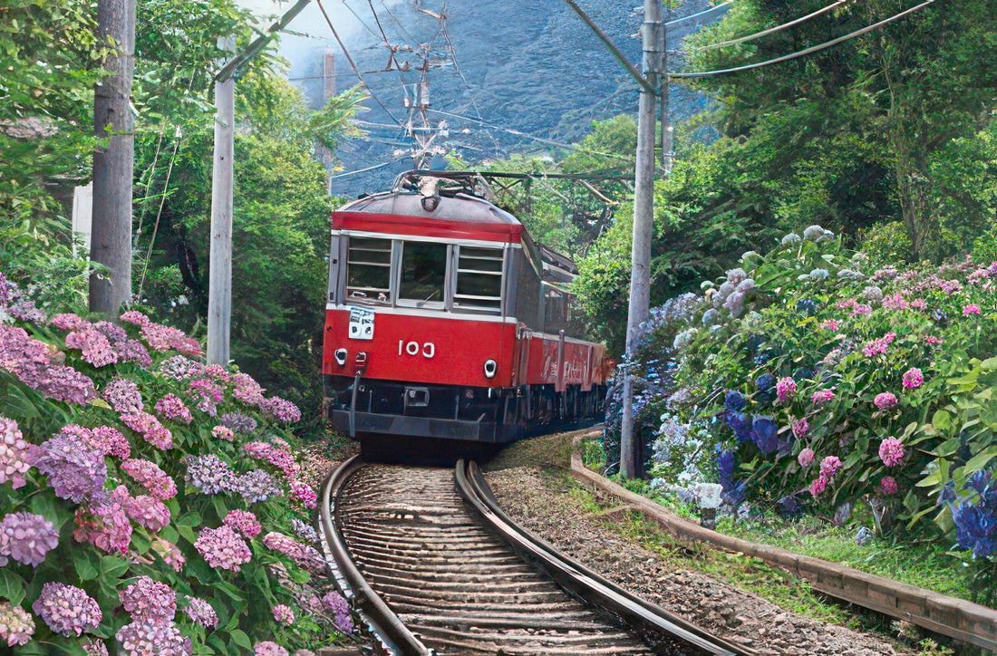 epoch-76-011-hydrangea-and-hakone-tozan-train-2542-pieces-jigsaw-puzzle