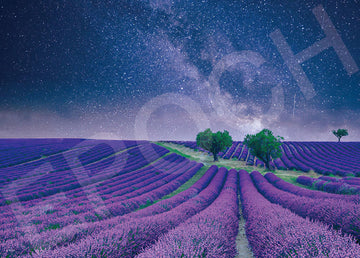 Epoch • Scenery • Starry Sky Lavender Field　500 PCS　Jigsaw Puzzle