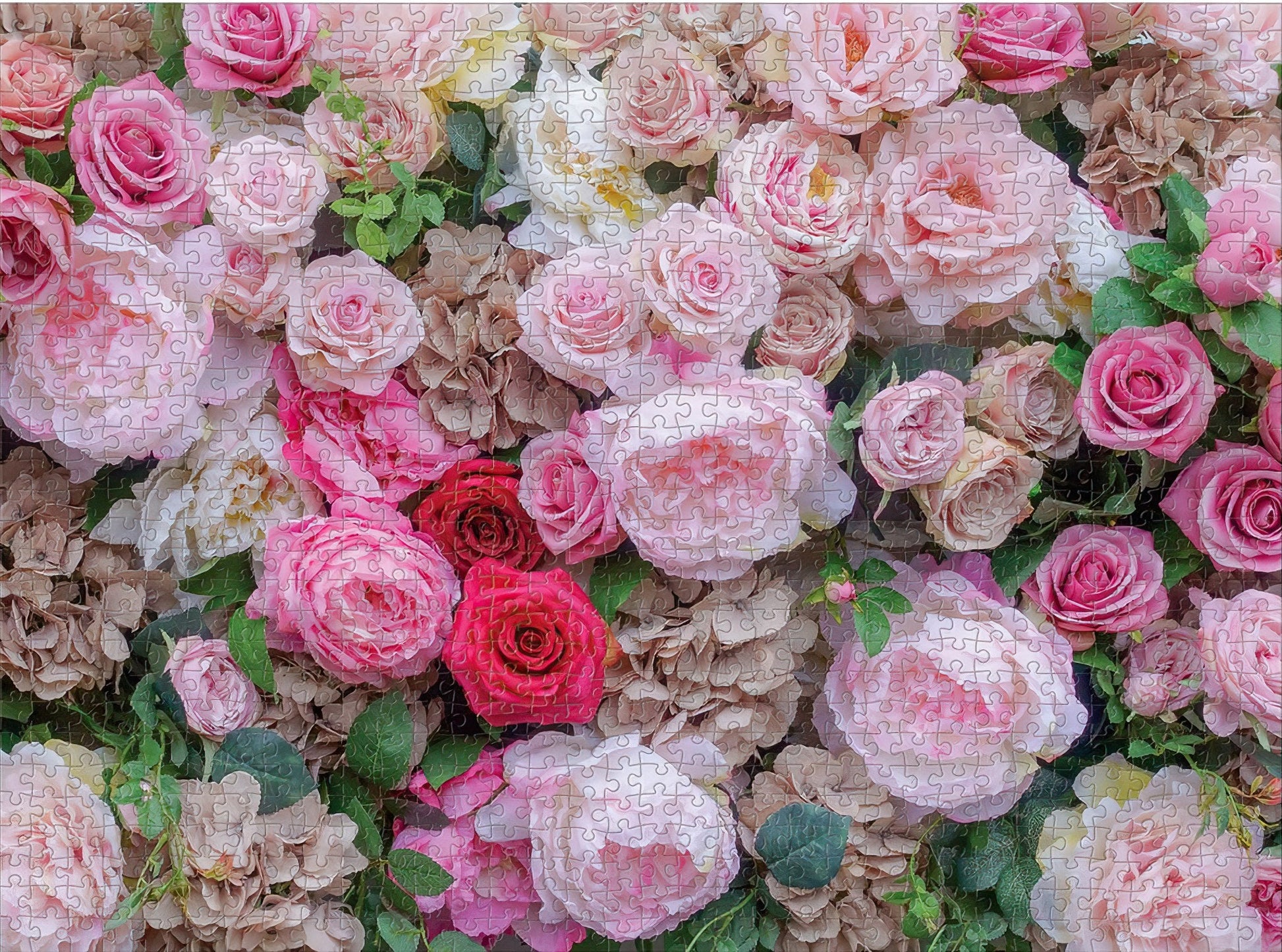 galison-36726-english-roses-1000-pieces-jigsaw-puzzle