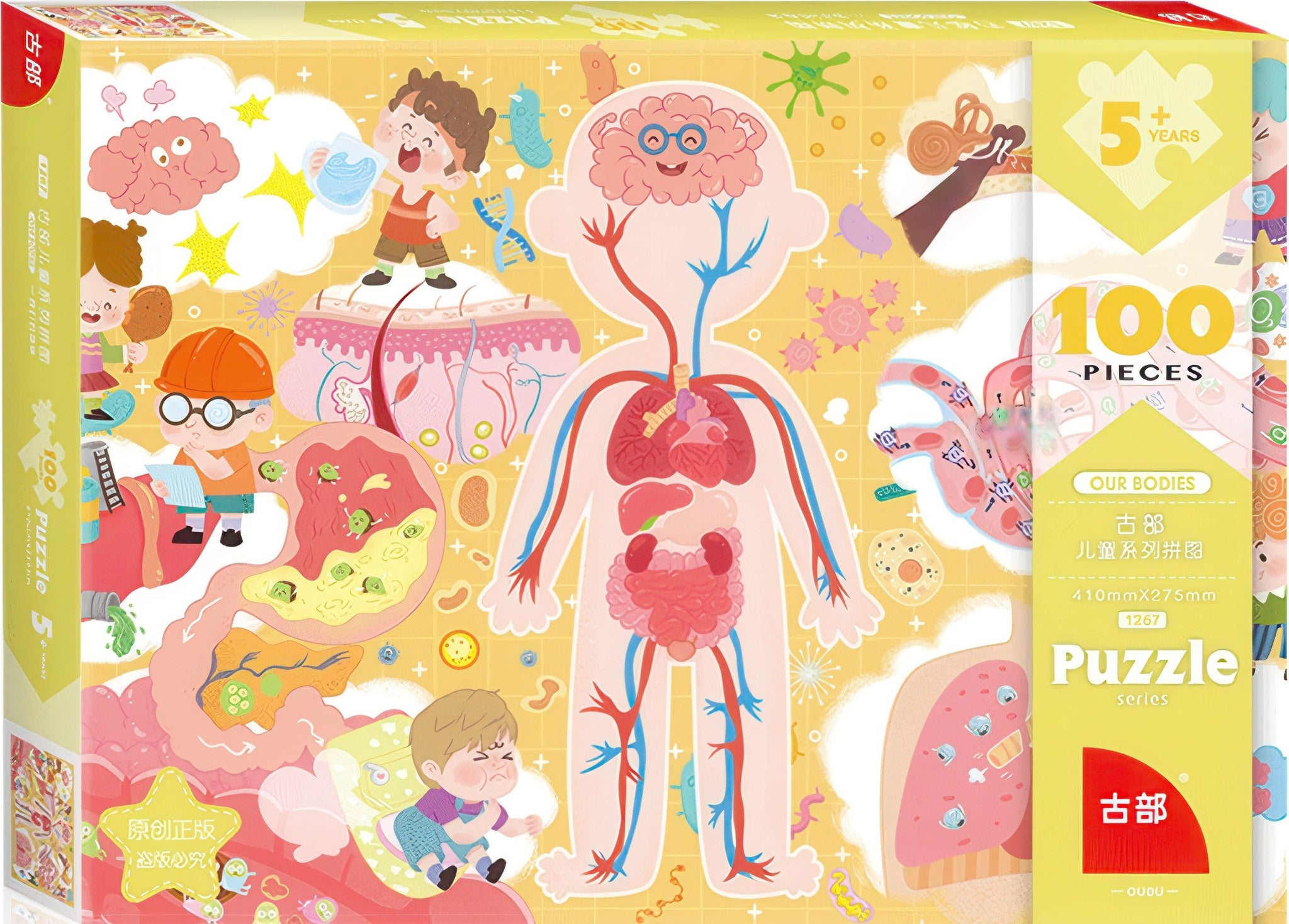 gu-bu-1267-our-body-100-pieces-jigsaw-puzzle