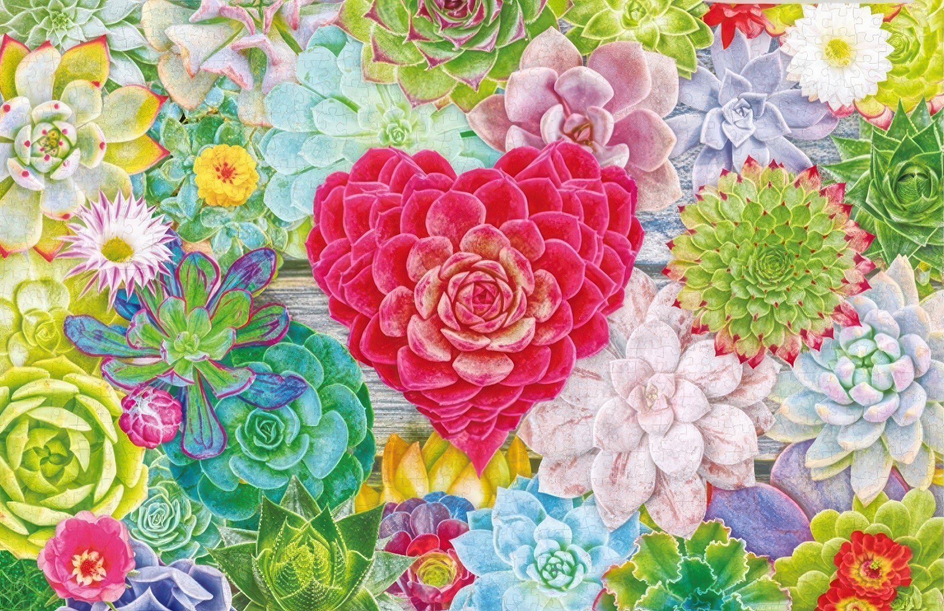gu-bu-2607-succulents-1000-pieces-jigsaw-puzzle