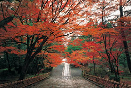 HM 100-237　Autumn Path (2)　1000 Pieces Jigsaw Puzzle