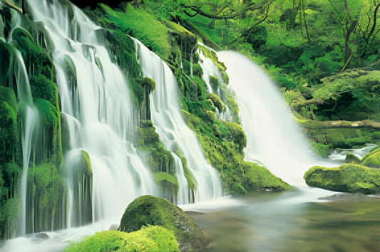 HM 100-248　Mountain Spring (1)　1000 Pieces Jigsaw Puzzle