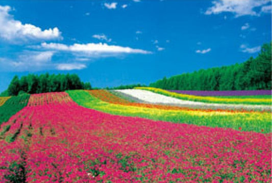 HM 100-264　Flower Field (2)　1000 Pieces Jigsaw Puzzle