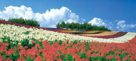 HM 510-009　Flower Field　510 Pieces Jigsaw Puzzle